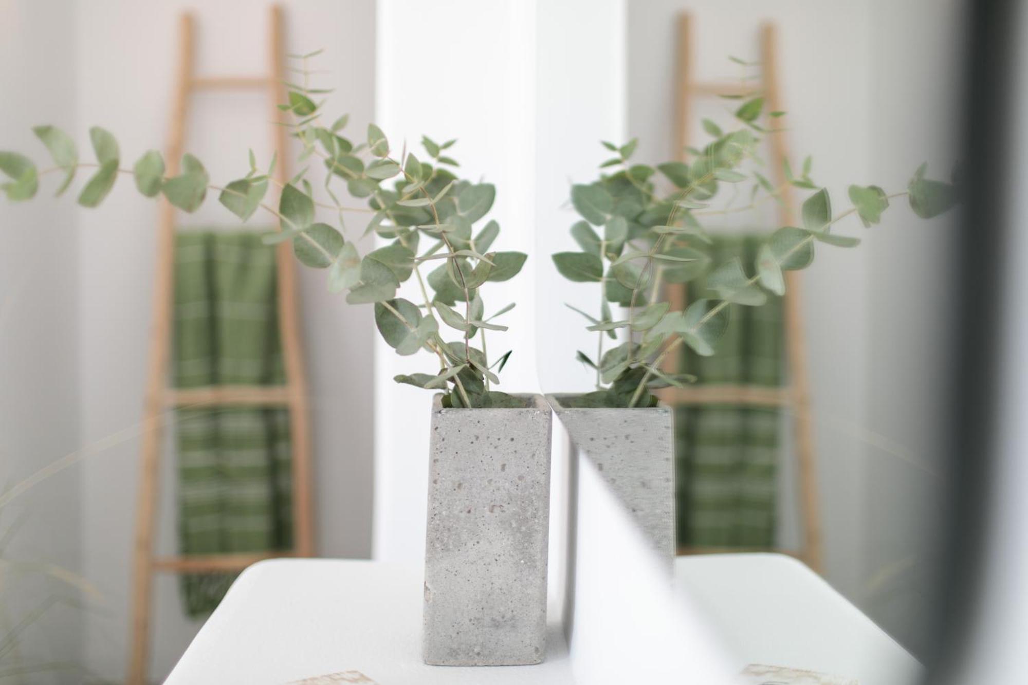 Anamnesia Boutique Apartments Naxos Town Naxos City Экстерьер фото